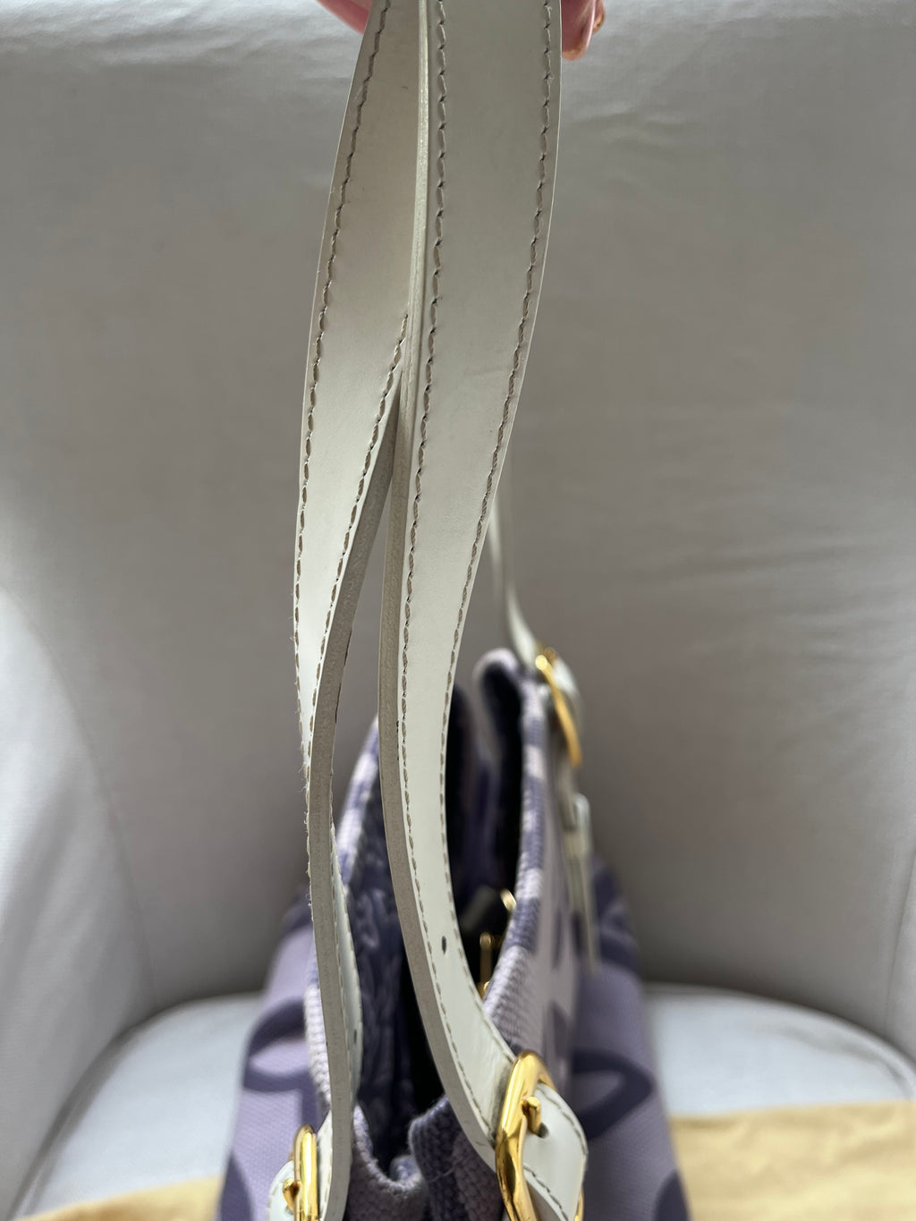 Louis Vuitton Tahitienne Bag