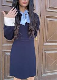 Sandro Navy Dress Size 14