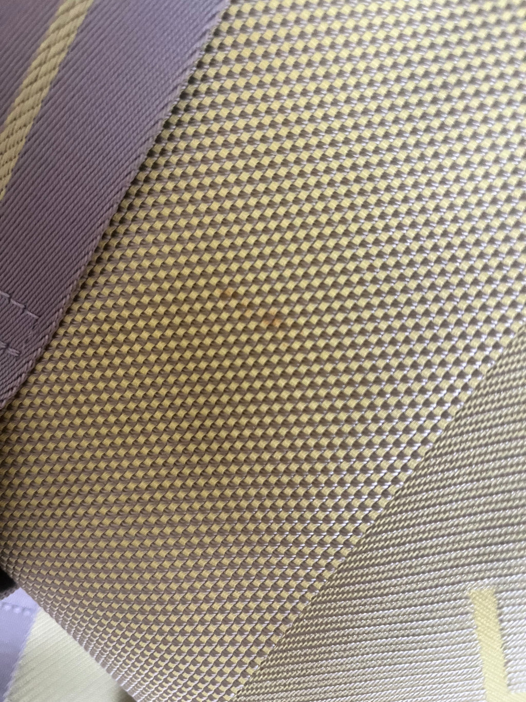 Louis Vuitton Limited Edition Travel Bag